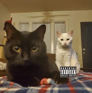 Meet your Posher, Kayden